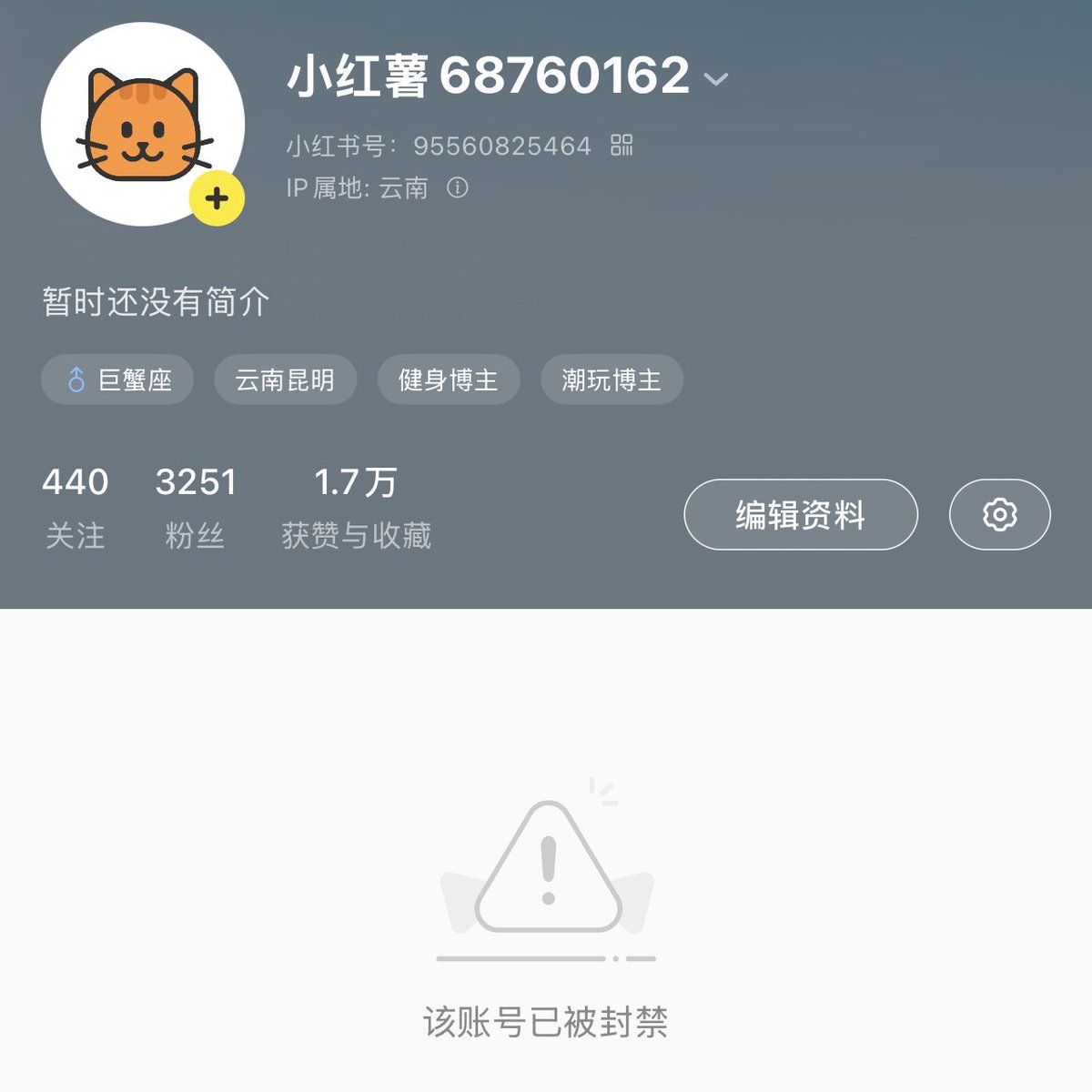 小红书死妈啦，以后转ins了，见主页链接