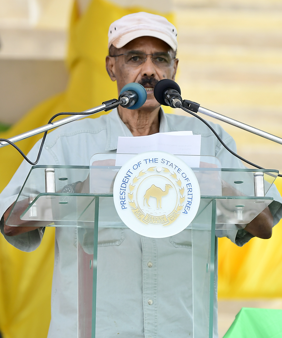 Amb. Sophia Tesfamariam tweet media