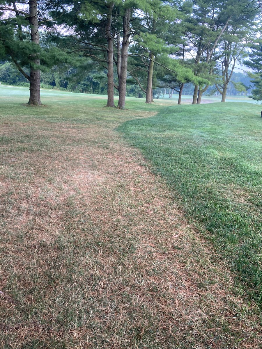 Root pruning works!!