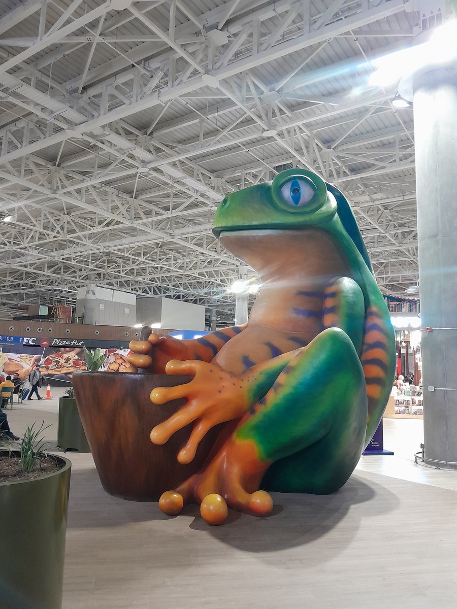 LimaPocketGuide's tweet image. #limapocketguide