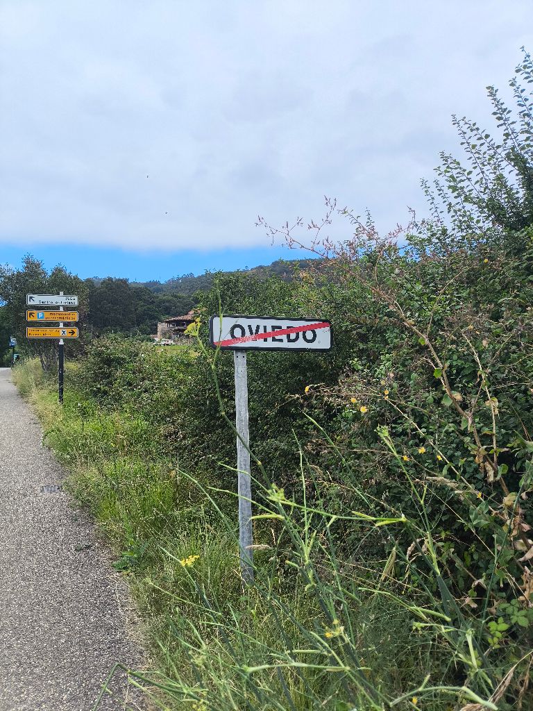Adivinen donde estoy. Pista: no estoy en Oviedo. Hasta ahí puedo decir.