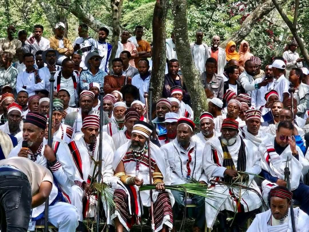 Yaa'i Gadaa Arsii Dhaddacha Guutaa Laangannootti guyyoota lamaaf adeemsifamaa ture milkaa'innaan goolabameera.
Yaa'a kana irratti agarsiisni aadaa, ateetee, nyaata, uffannaa,tirrii,suunsuma, koottu dhufee, geerarsa, guluffii fardaa, raaba sooyyee fi kkf bal'inaan muldhatani jiru.