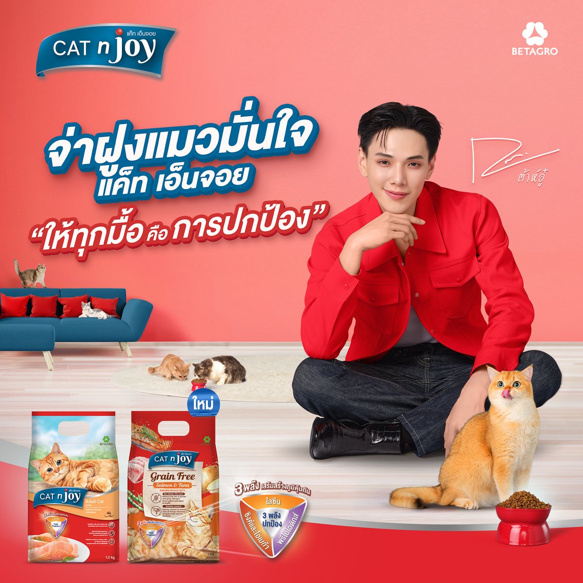 CAT n joy tweet media