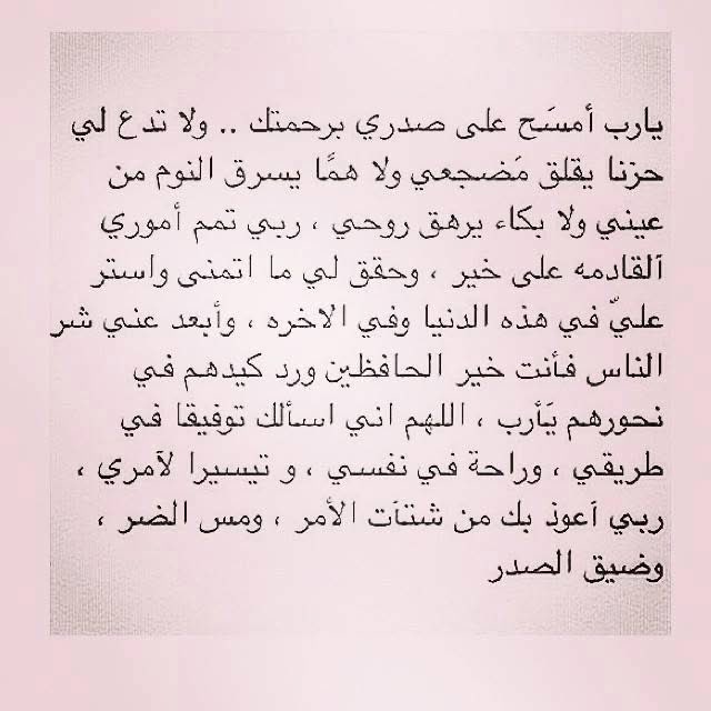 NoraHassanM's tweet image. 