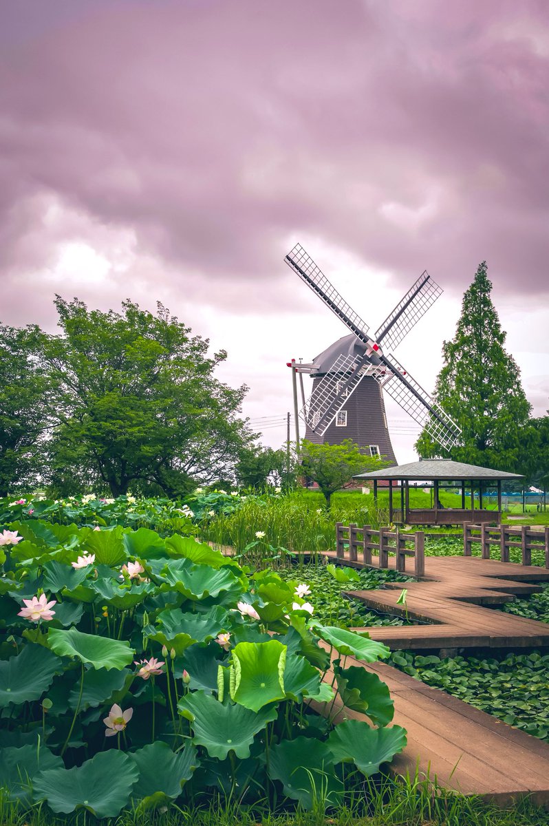 knight_amg's tweet image. 風車のある風景🪷