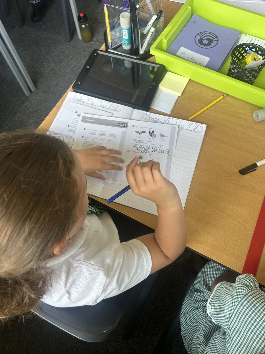 MrAbnett01's tweet image. Year 5 have been looking at Pollination in science this morning! 🪻🐝@PoppyfieldSch