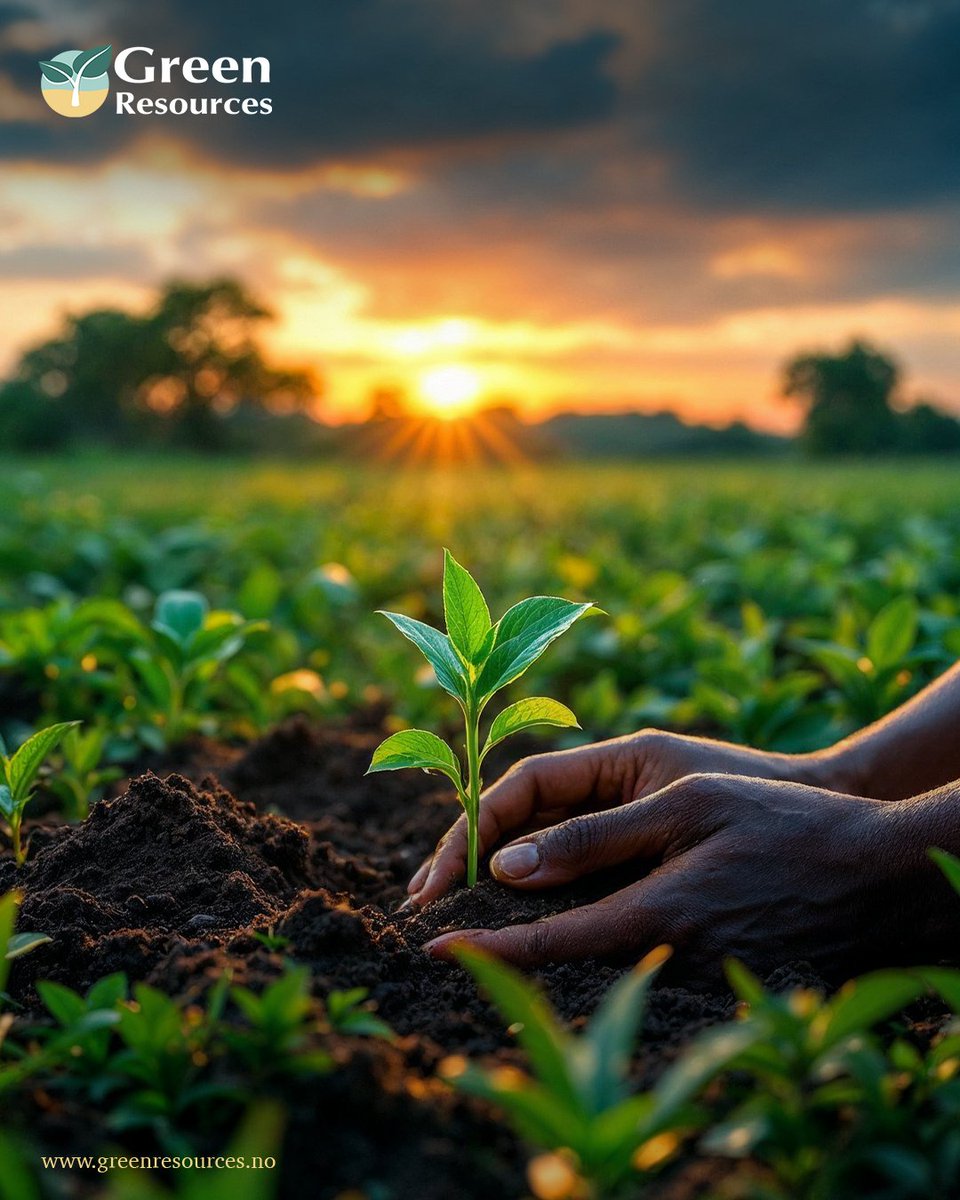 GreenResources tweet media