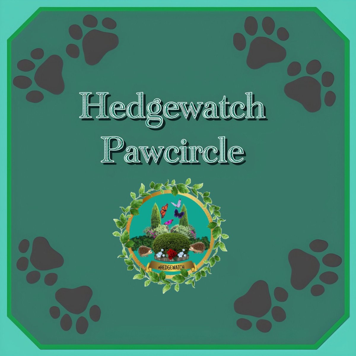 Hedgewatch (@hedgewatchers) on Twitter photo May we ask you to join our paw circle for dear Jude <a href="/rachelgoes262/">Jude, Simon, Jolene, Rachel ๐ณ๏ธโ๐๐ท</a> who is very unwell. We send love and strength to Judeโs family โค๏ธโค๏ธโค๏ธ May we ask you to join our paw circle for dear Jude <a href="/rachelgoes262/">Jude, Simon, Jolene, Rachel ๐ณ๏ธโ๐๐ท</a> who is very unwell. We send love and strength to Judeโs family โค๏ธโค๏ธโค๏ธ