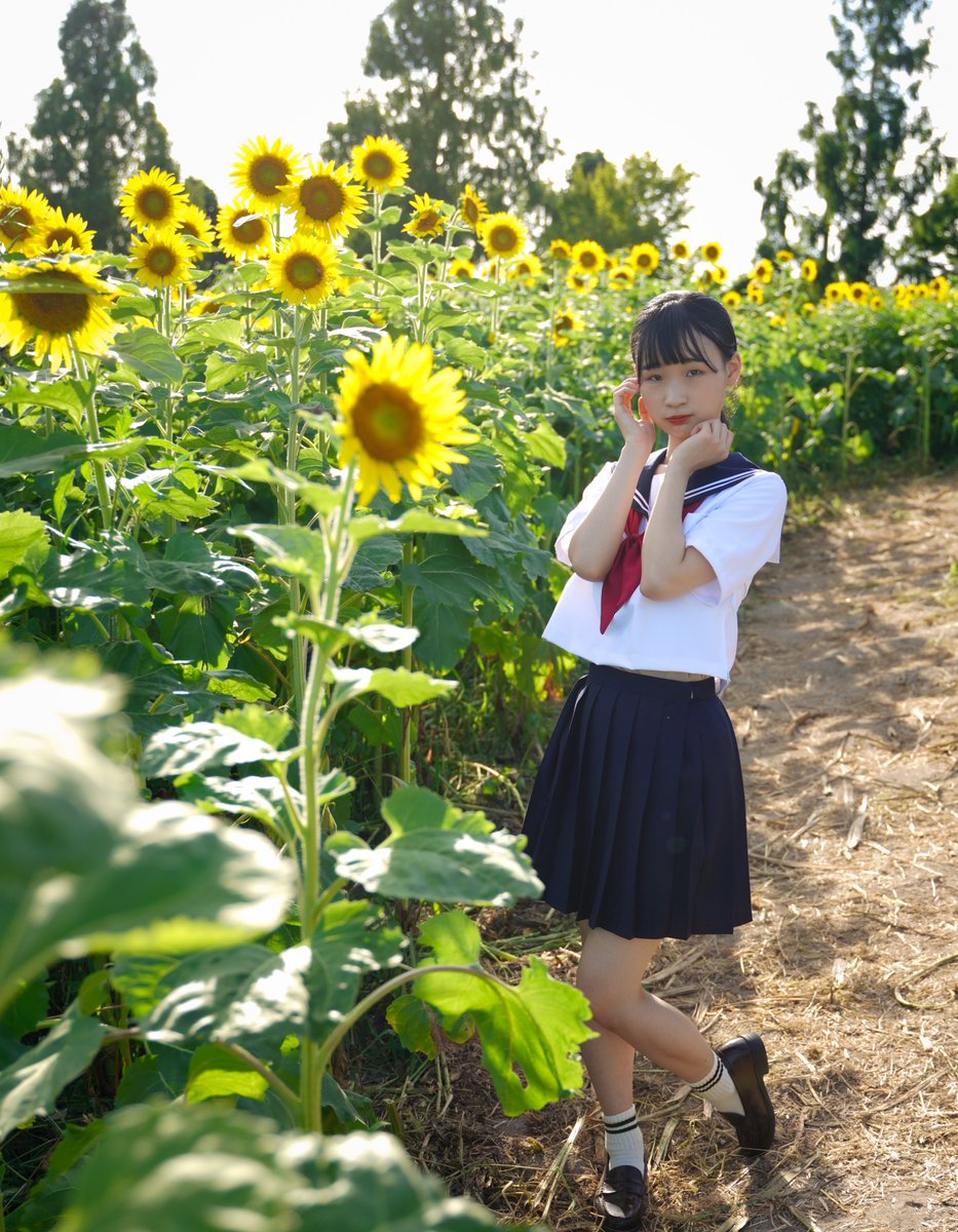 #ひまわりの日

ひまわり✖️ひまわりさん😅
その②
<a href="/sunflower_q10/">ひまわり🌻</a> 

※ちなみに愛知牧場では地形的に
ボリューム感のある撮影は難しいです😢