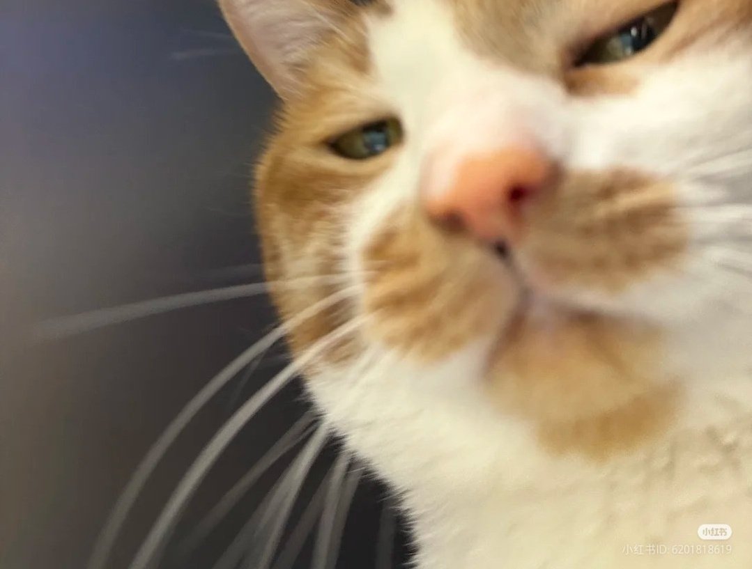 เดะกลับไปดูววว นาาาาา
#เมาท์มอยกับพลอยหอxNONTTANONT