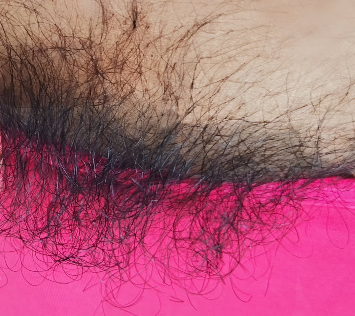 Sharika ⭐ tweet media