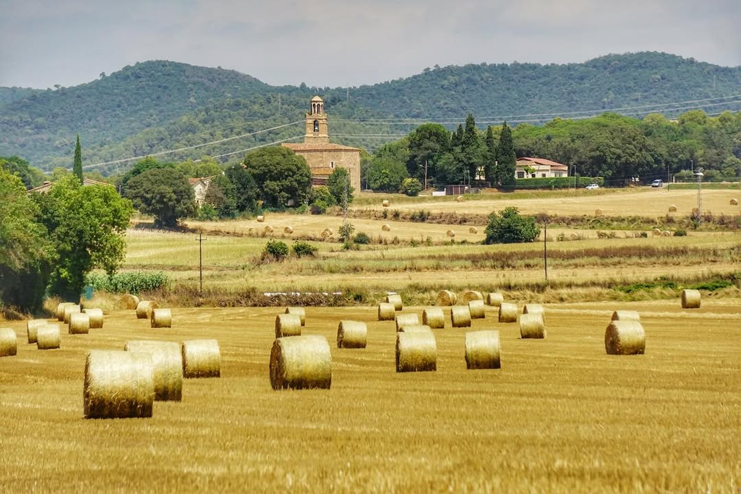 🌾 Els camps segats tenyeixen de daurat els paisatges de Cartellà.☀️ Bon dilluns!

📸 unamiradadiferent_resti (IG)

#turismegirones