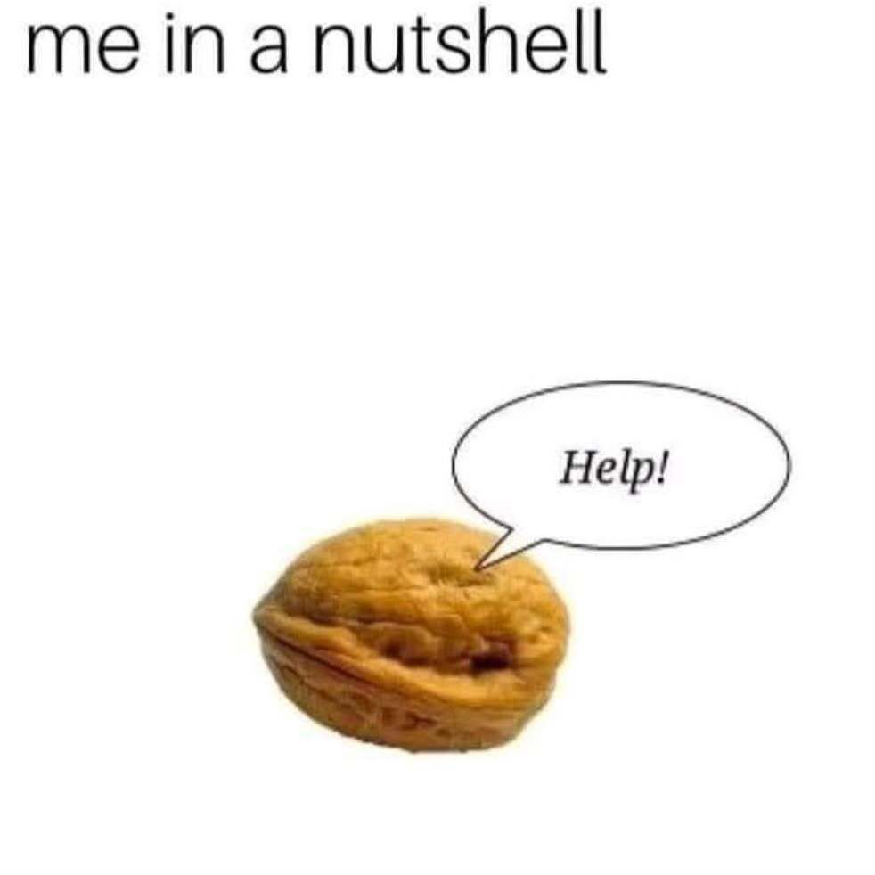 🕐HOURLY🕑 shitpost (@hourly_shitpost) on Twitter photo 