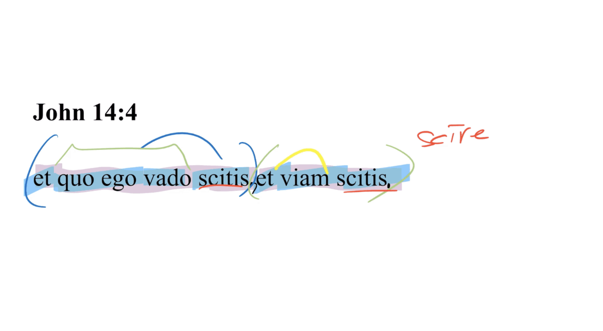 Today's Latin Vulgate Video: John 14:4 Latin Vulgate ow.ly/lGlQ106fJ8o