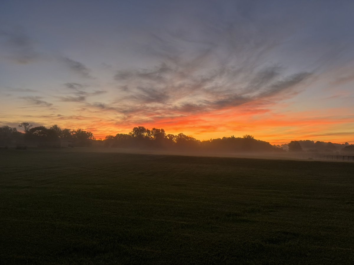 fhwhidden's tweet photo. @spann 
Beautiful morning walks on the farm. https://t.co/5INTp8b6tW