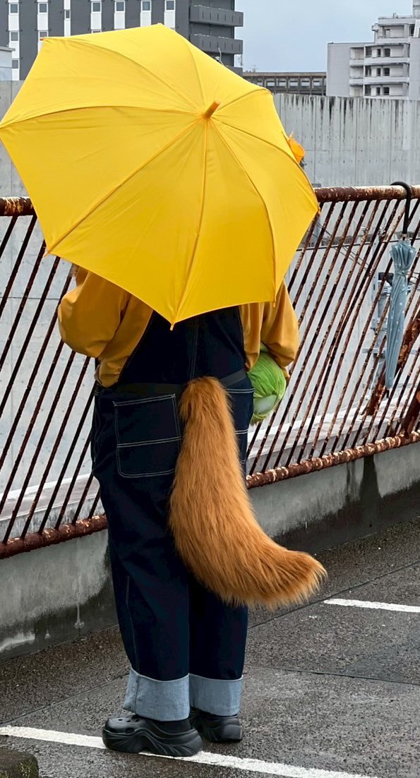 #みんなの自慢のしっぽ祭り
