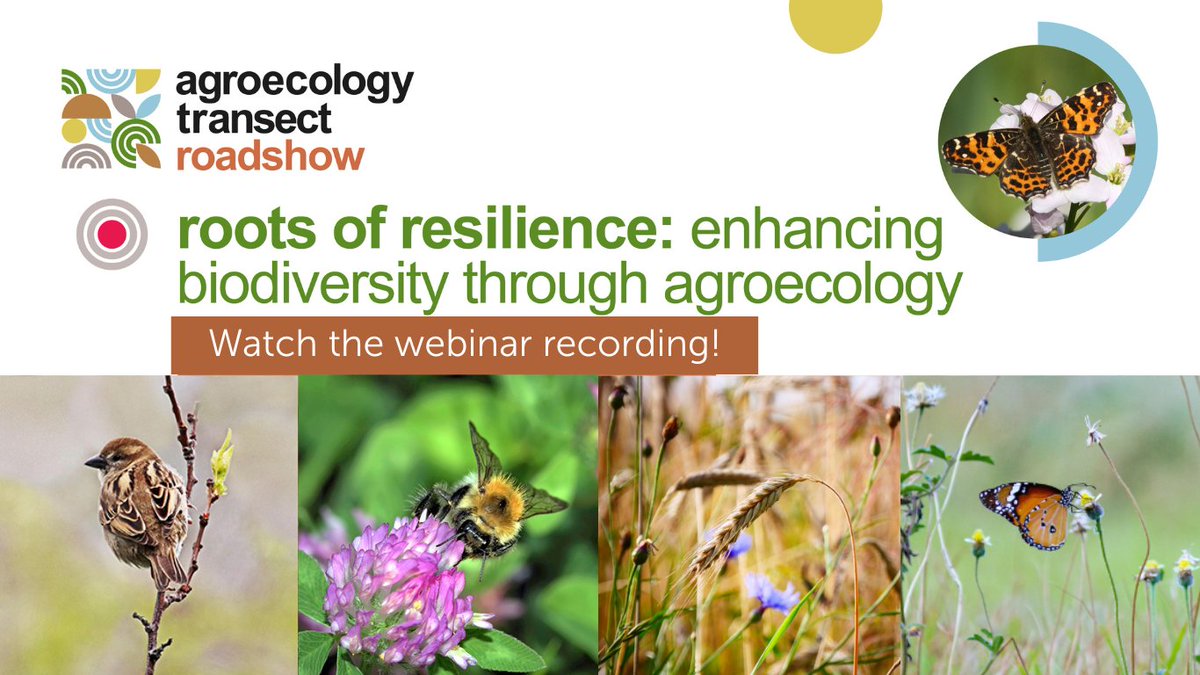 Agroecology-TRANSECT (@ag_transect) on Twitter photo Find out about our research into the role #Agroecology plays in supporting #Biodiversity in this recording of our #VirtualRoadshow webinar🦋
With on-the-ground farmer perspectives, research insights & policy discussion from across Europe👇
agroecology-transect.net/resources/agro…
#HorizonEurope Find out about our research into the role #Agroecology plays in supporting #Biodiversity in this recording of our #VirtualRoadshow webinar🦋
With on-the-ground farmer perspectives, research insights & policy discussion from across Europe👇
agroecology-transect.net/resources/agro…
#HorizonEurope