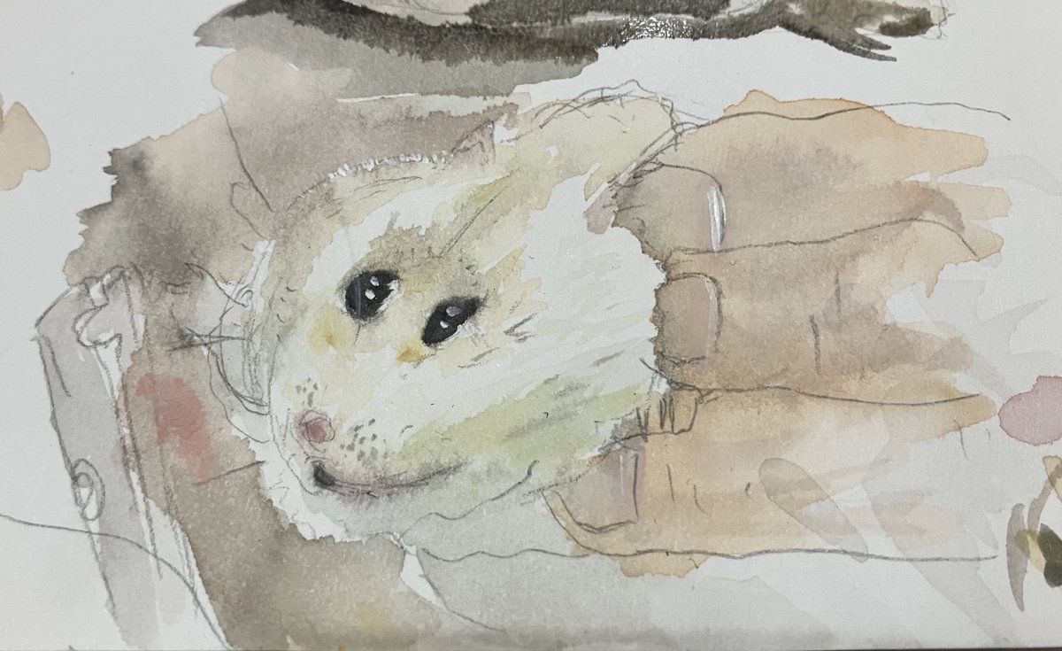 きんグラ (@kingra_duel) on Twitter photo 