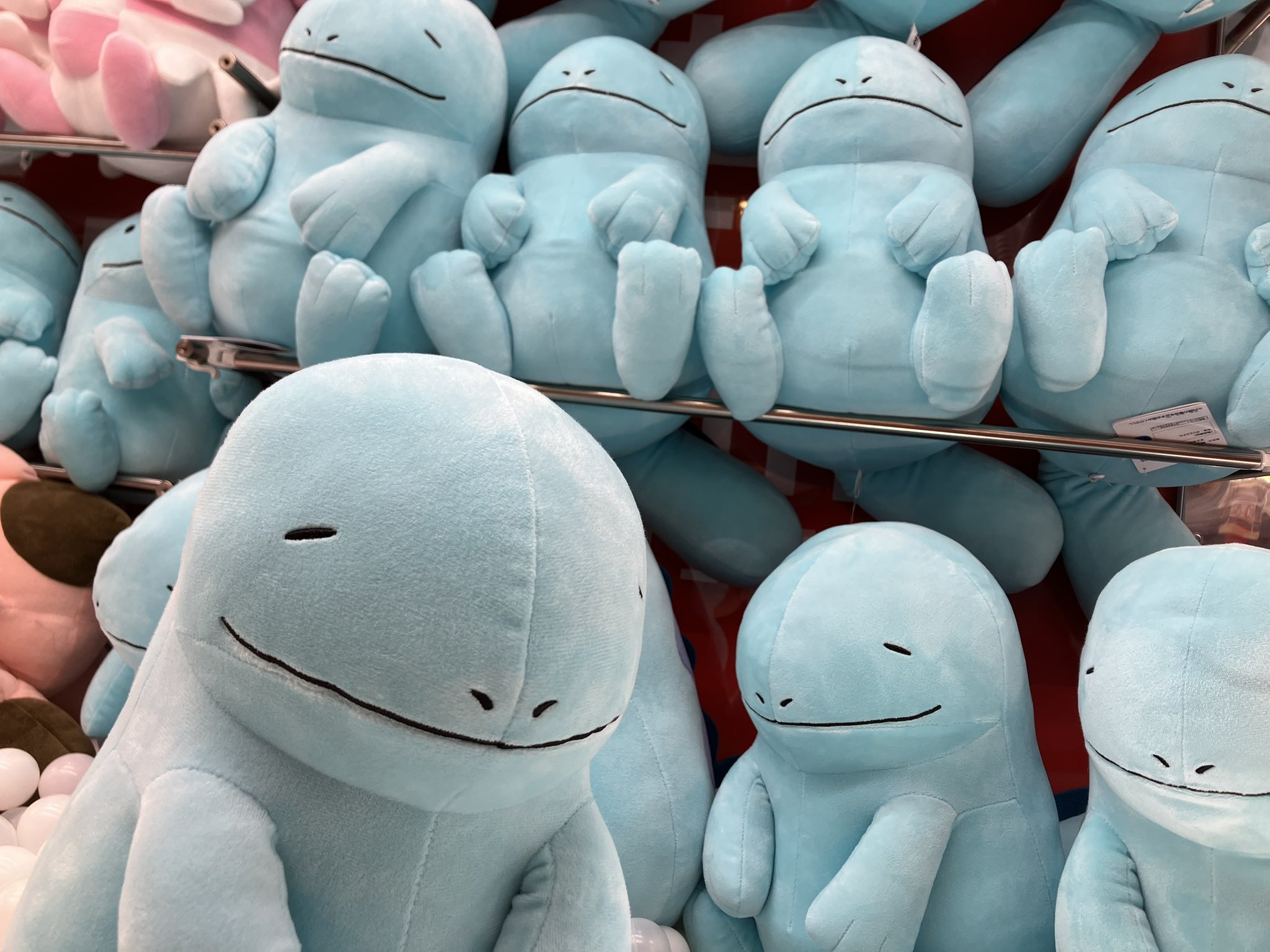 ぬいぐるみ Amazon.co.jp: すみっコぐらし ぬいぐるみ(L) とんかつ MR38401