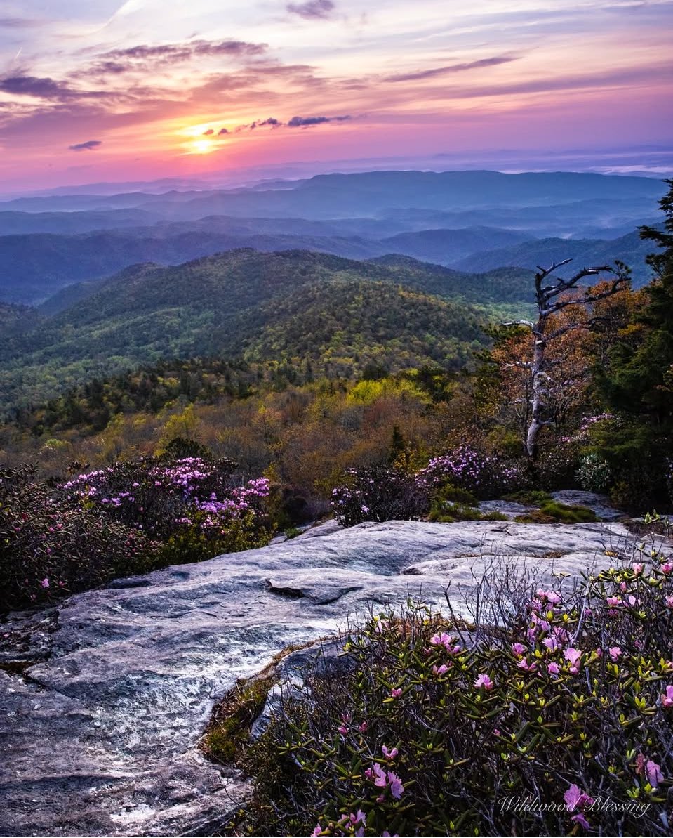 Good morning from
North Carolina!

📍Lineville Gorge Wilderness