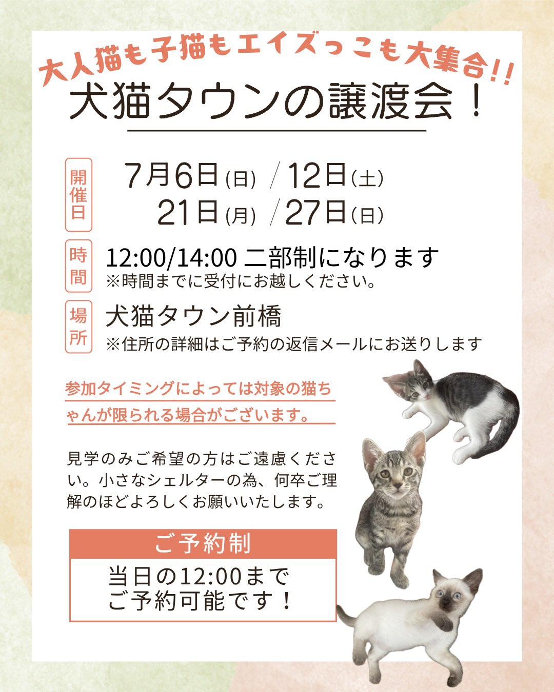 犬猫生活 犬猫生活 【特典付き】犬猫生活 キャットフード オールステージ