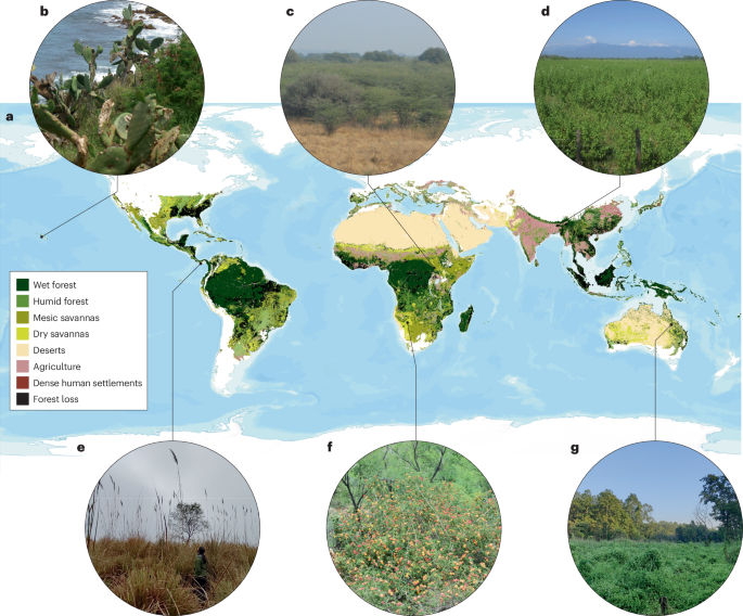 New online! Alien plants and novel ecosystems in the Greater Tropics bit.ly/4kxmm8h