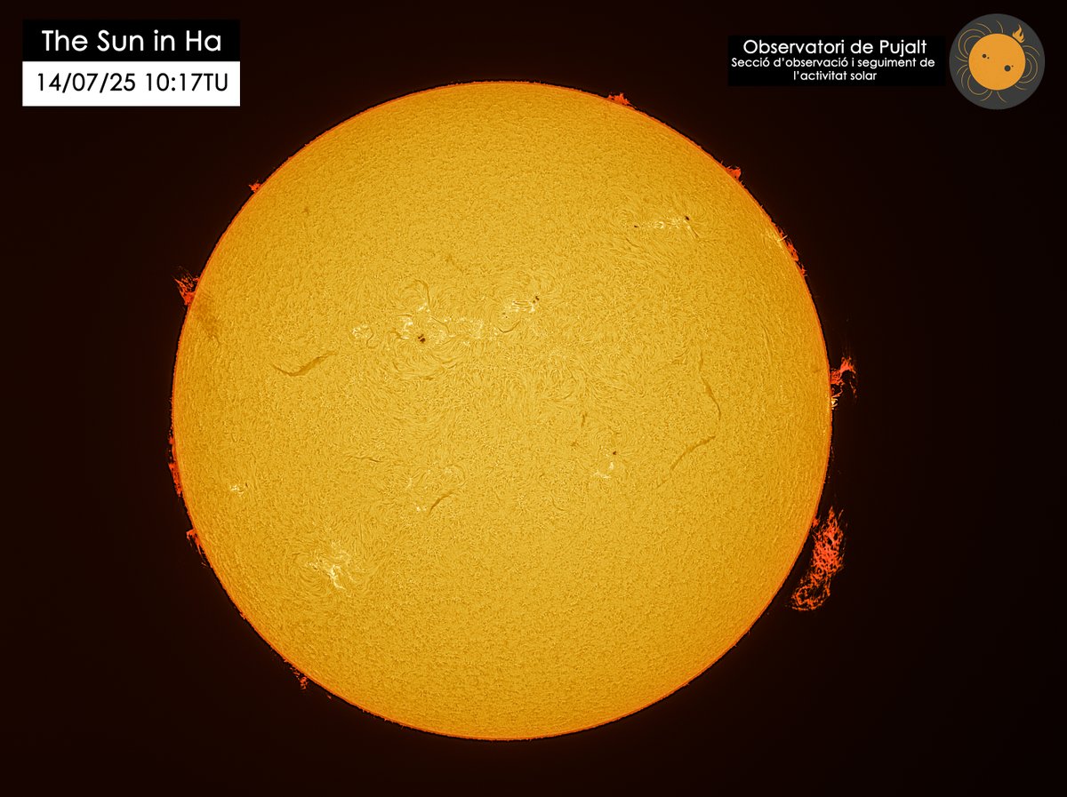 Josep Mª Llenas (@astrometeo_) on Twitter photo El Sol capturat fa pocs minuts des de l'<a href="/Observatori/">Observatori de Pujalt</a> de Pujalt, on s'aprecia una protuberància de gran mida al limbe oest. El Sol capturat fa pocs minuts des de l'<a href="/Observatori/">Observatori de Pujalt</a> de Pujalt, on s'aprecia una protuberància de gran mida al limbe oest.