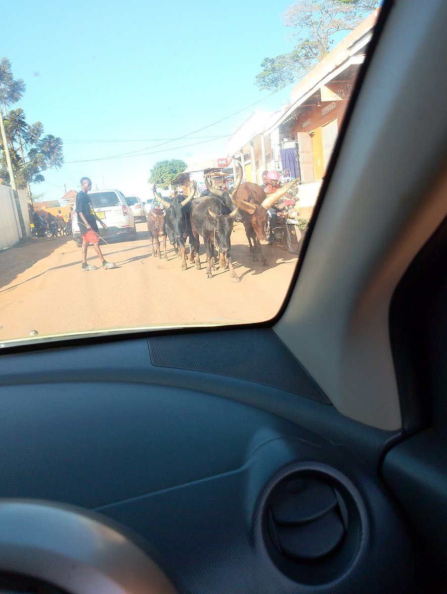 tororo_ug's tweet photo. Kiira Municipal Council https://t.co/sUIPCSy8sM