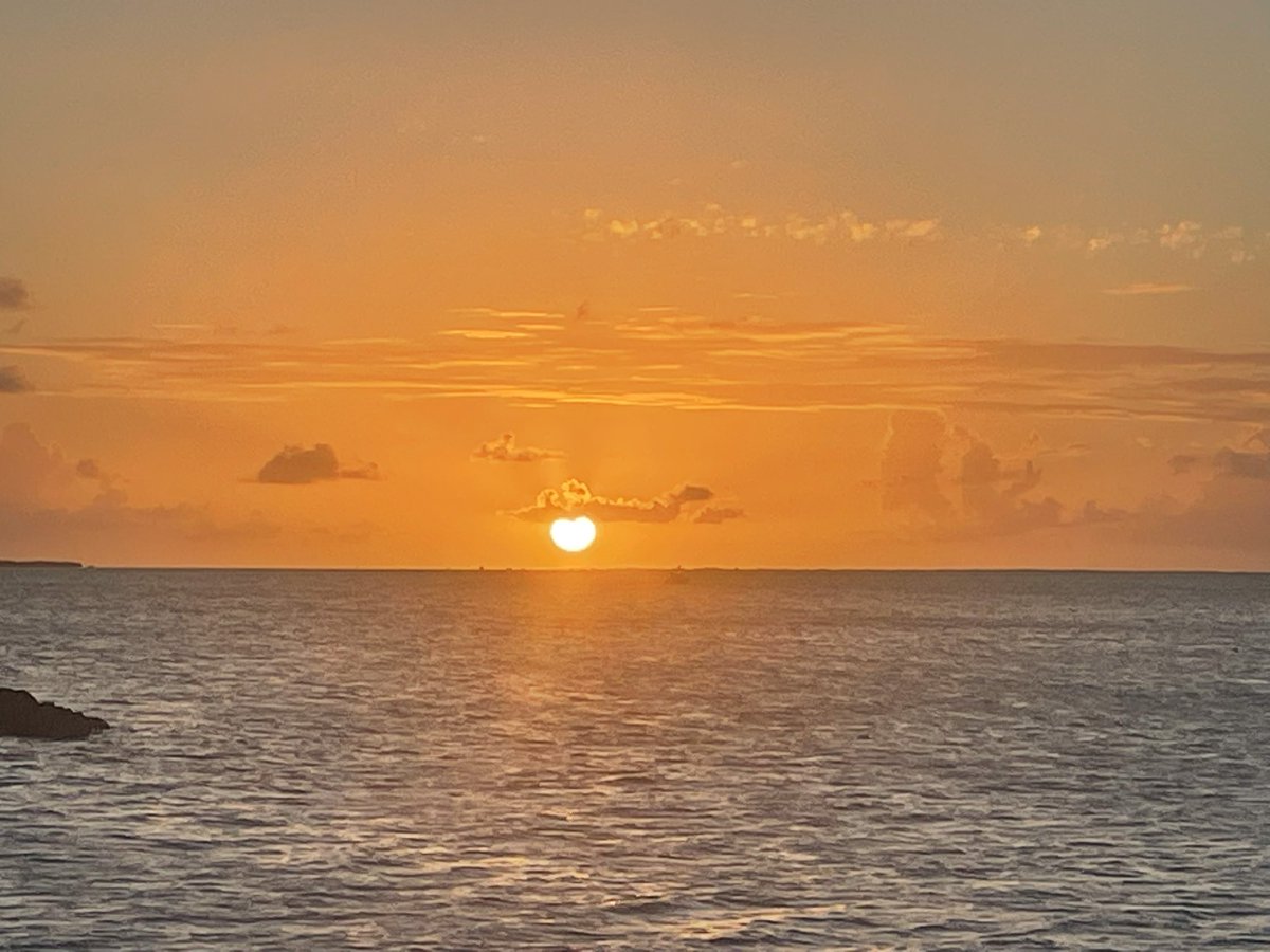 michael_chad's tweet image. 