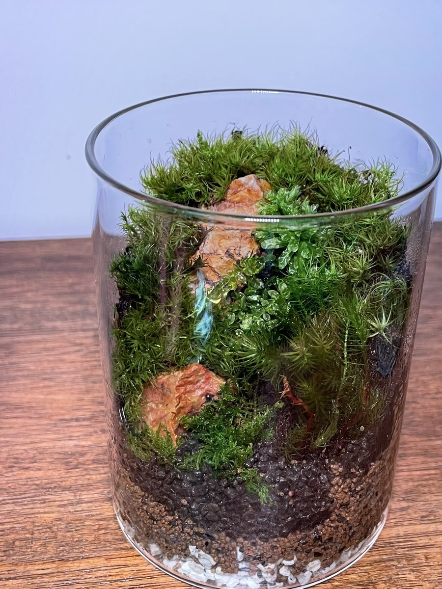 傾斜のある作品が人気なので色々作ってみてます🤔