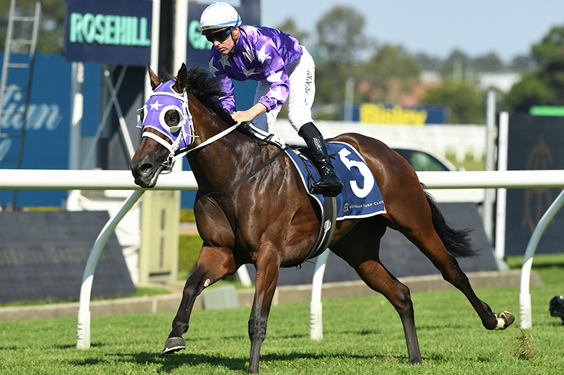 BREAKING NEWS: Star Sprinting Mare Olentia Heads to Magic Virtual Sale

Outstanding racemare Olentia will provide buyers from around the globe an incredible opportunity when she is offered at next month’s Magic Millions Virtual Sale.

Read more: magicmillions.com.au/star-sprinting…