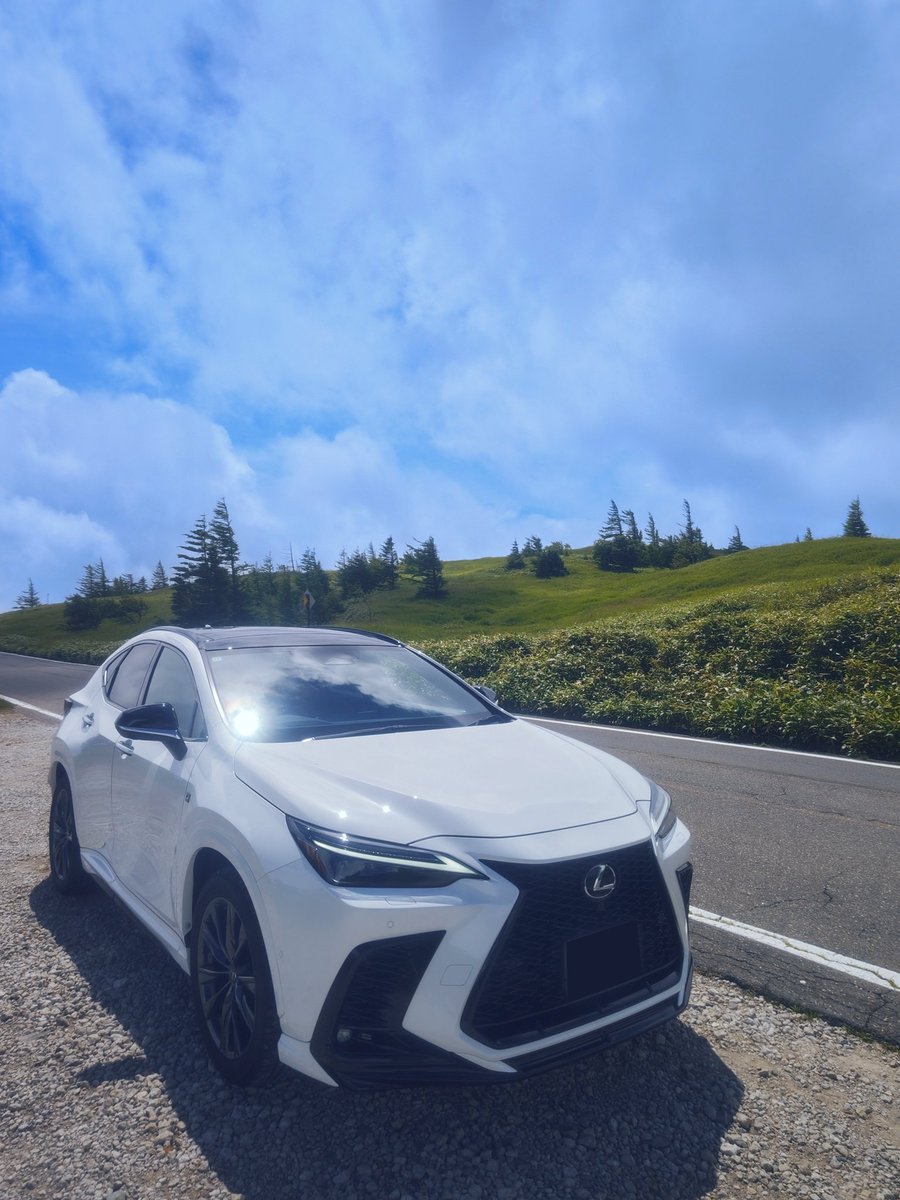 ⚠️専用ページ⚠️200t NX様 2016 Lexus NX, 200T F Sport | JTJYARBZ8G2027670 | Bid