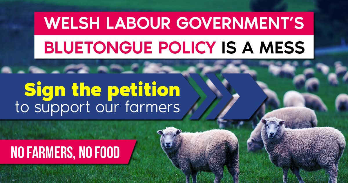 The Welsh Government’s Bluetongue policy is completely out of touch. 

Labour need to listen to farmers for once.

Sign the petition to demand the Welsh Government support our farmers. 👇

whatwelshlaboursaid.com