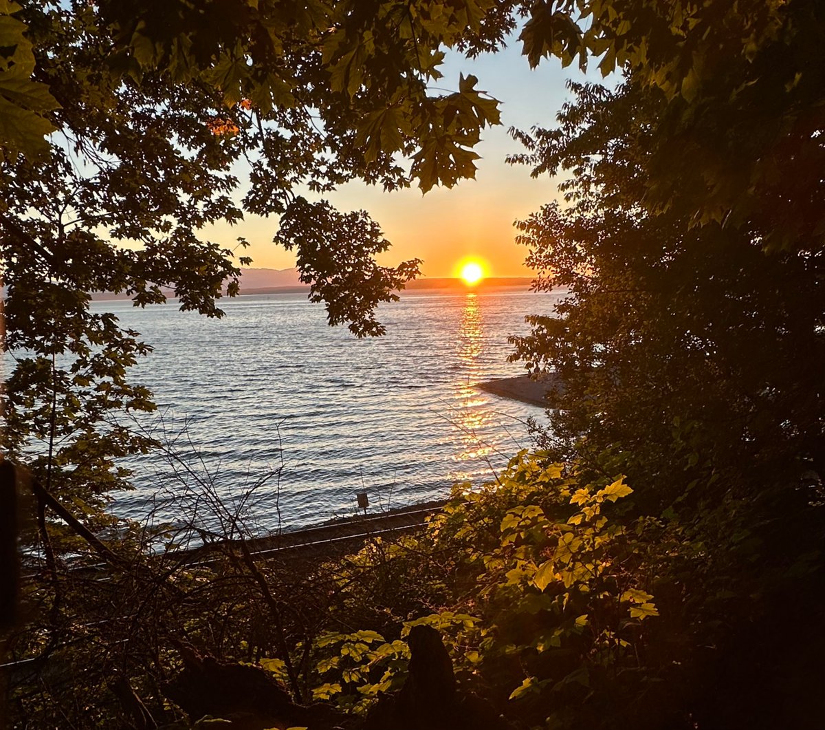 Jérôme Lecoq (@lecoqjerome) on Twitter photo Perfect timing of my Sunday sunset run this week. Perfect timing of my Sunday sunset run this week.