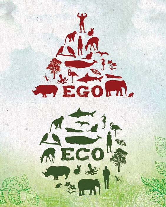 EGO ve ECO