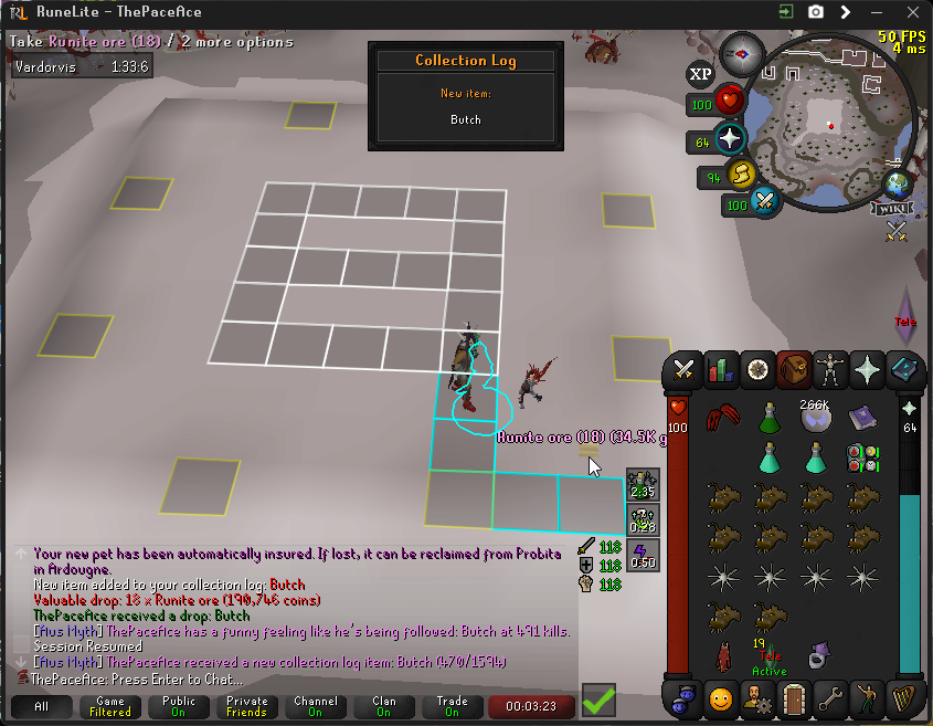 I'll dodge every unique drop except a pet.