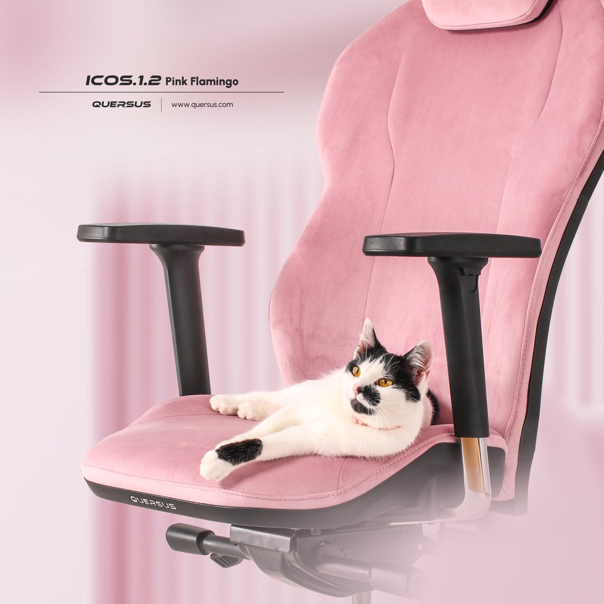 Meet QUERSUS ICOS.1.2 Pink Flamingo! 🌸

Crafted from high-quality, pet-friendly, water-repellent PFV fabric in a vibrant pink hue, the ICOS 1.2 Pink Flamingo is not only resistant to scratches but also fireproof and waterproof — ensuring durability and peace of mind.

Ideal for