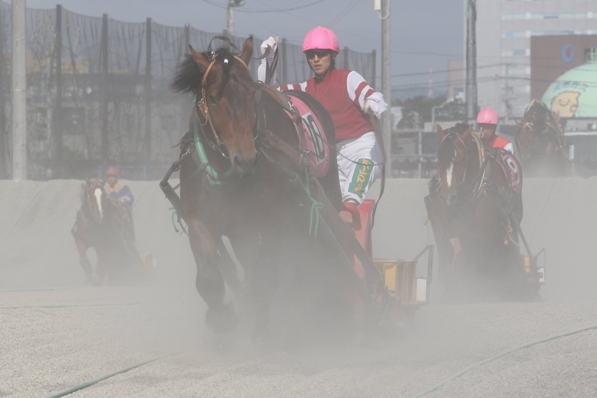 馬券単勝 ポルトフィーノ 新馬戦 トーセンジョーダン 記念馬券 単勝 天皇賞秋 東京競馬場 現地