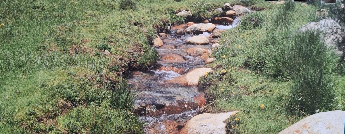 Guten Morgen liebe Community!

"Ruhig sein - dem Strom der Zeit 
die rechte Richtung geben!"

Han Fe Dsi