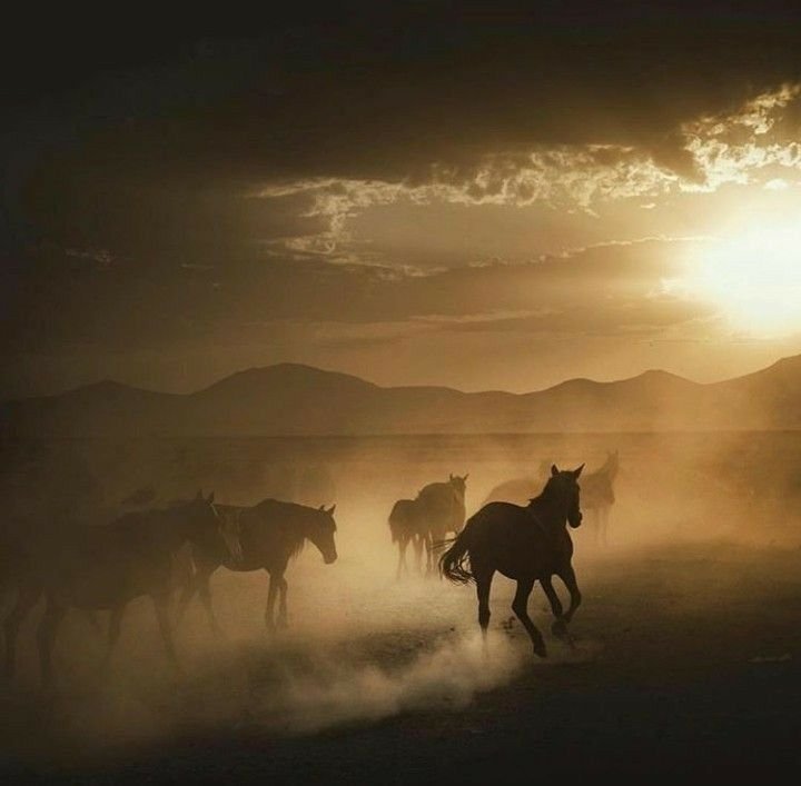 ''Ne ölüler geri dönüyor. 
Ne diriler ibret alıyor.''