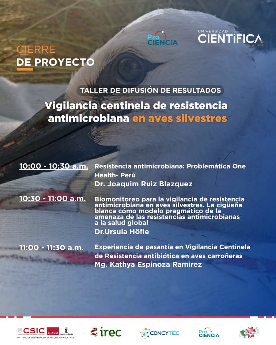 Birdpath Patología Aviar tweet media