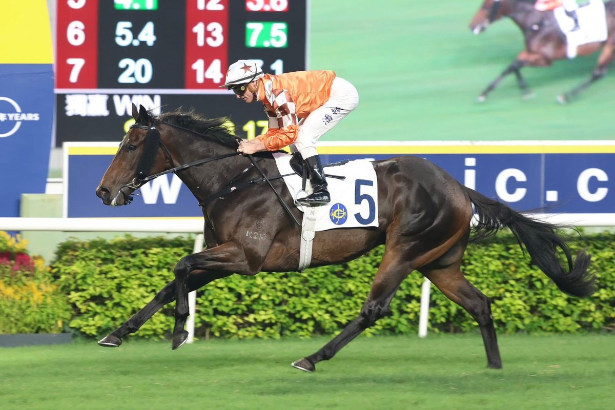 NEWS: The Jamie Richards-trained Bulb General crowned his return from serious illness with an impressive breakthrough victory at Sha Tin on Sunday.

racingnews.co.nz/bulb-general-s…