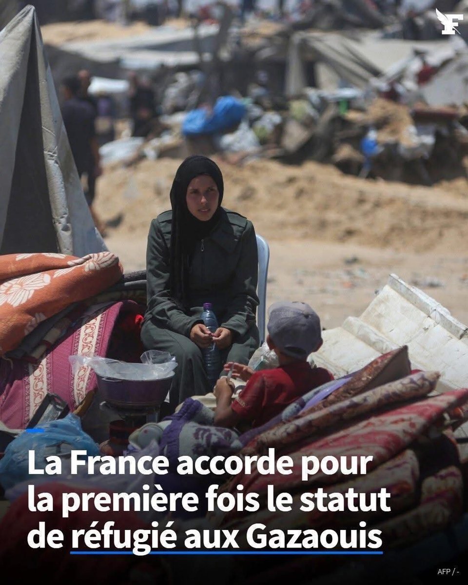 Je ne comprends pas pourquoi les pays musulmans qui les soutiens ne les récupères pas, alors que nous sommes submergé d'immigré qui nous crache à la figure la haine qu'il on envers la France 🇫🇷 et c'est concitoyens 😠

Ils vont désormais arriver par milliers: qu’en pensez-vous ?