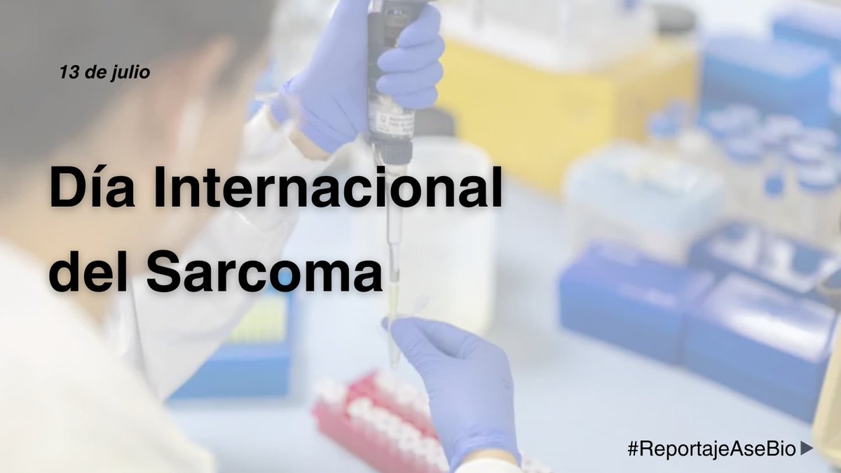 AseBio's tweet image. Ayer, en el #DíaInternacionalDelSarcoma, quisimos visibilizar el trabajo del área de Cáncer del @CIBER_ISCIII en el desarrollo de terapias CAR-T de nueva generación para tratar sarcomas pediátricos, como el sarcoma de Ewing.
#SomosBiotecnología
➡️asebio.com/actualidad/not…