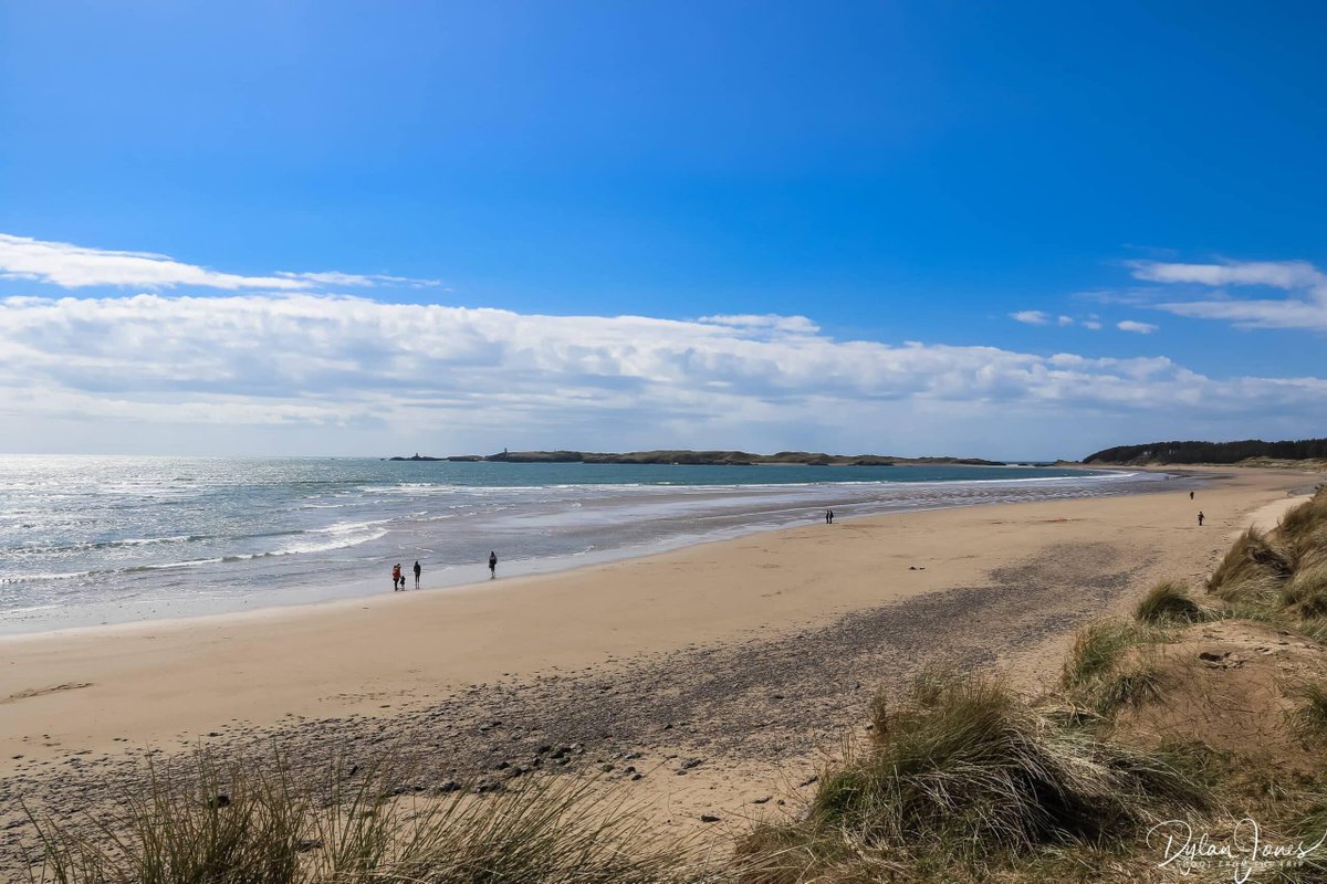 Shoot from the Trip tweet media