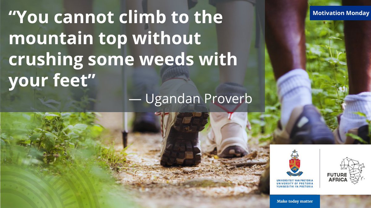 Growth isn’t always neat. Sometimes, you have to crush a few weeds to reach the mountaintop.
#MotivationMonday #FutureAfrica #KeepGoing #GrowthJourney