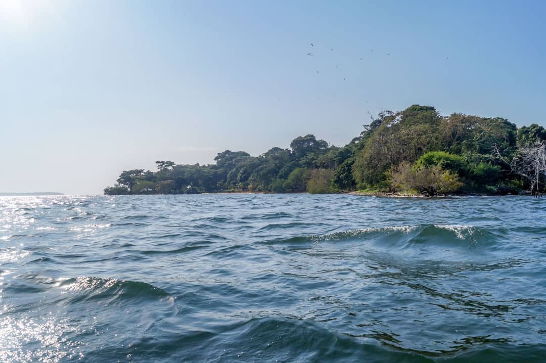 The water flow will always confuse a non sailing boat or ship. Since the pilot has the one moving in control, the results become easier for those enjoying the ride.
In your business, make sure you carry the heavy part and let the light be carried by those you call staff