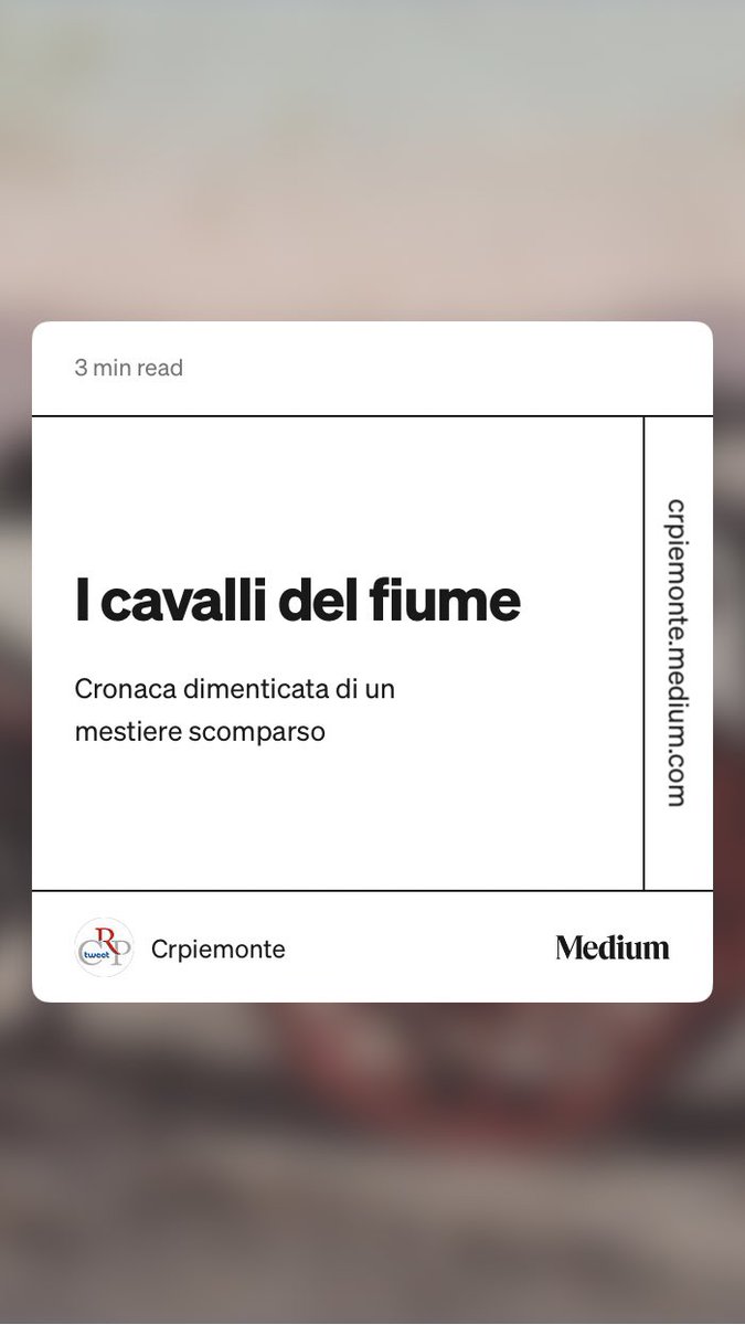 Gabriele🇪🇺 tweet media