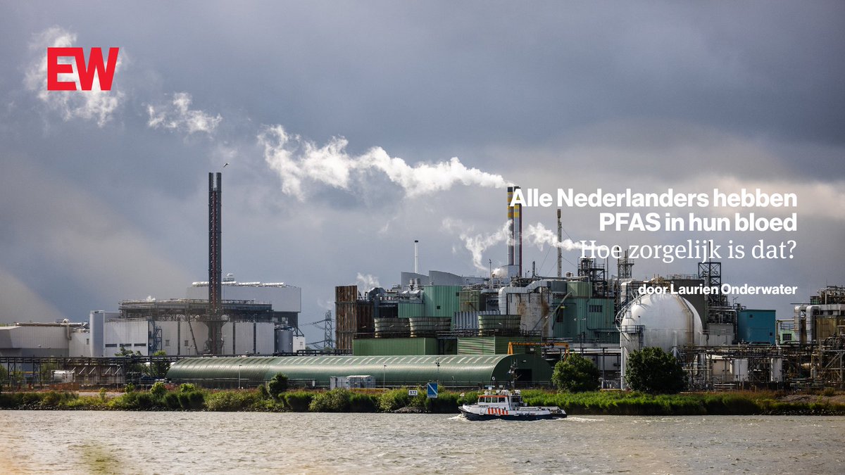 Iedere Nederlander heeft verscheidene soorten PFAS in zijn bloed. Dat blijkt uit onderzoek van het RIVM. Veel wetenschappers, beleidsmakers en burgers willen nu dat er een totaalverbod op PFAS komt. Maar hoe realistisch is dat?

ewmagazine.nl/kennis/news/20…