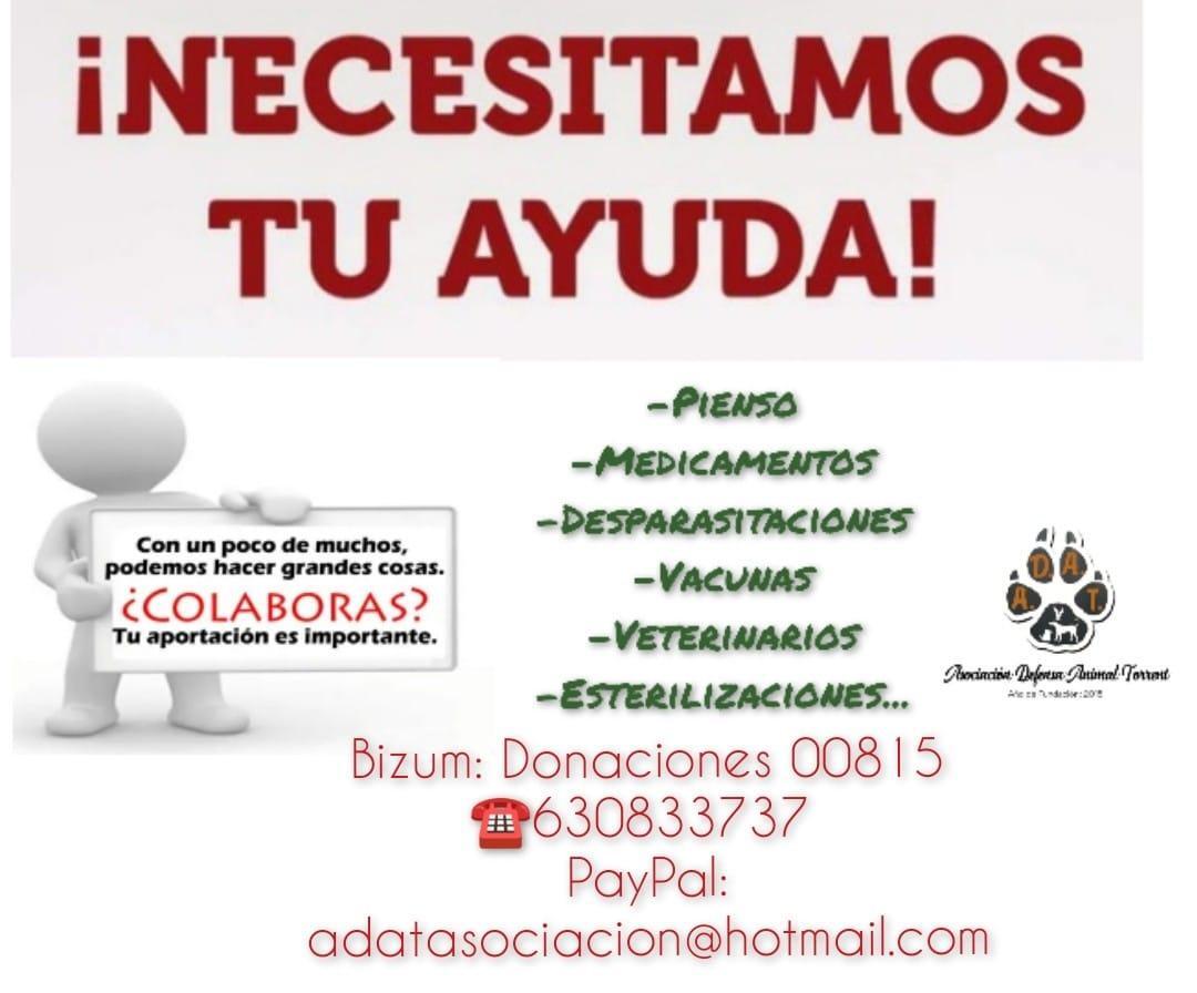 SIN VUESTRA AYUDA NOS SERÁ IMPOSIBLE SEGUIR AYUDANDO A LOS ANIMALES... 😞

No disponemos de refugio, por lo que la gran mayoría de perros que tenemos tutelados están en residencia que debemos abonar mensualmente.🏠💸

Pienso, desparasitaciones, tratamientos veterinarios...